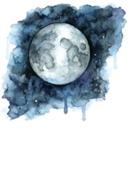 水星家纺属于什么档次